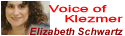voice of klezmer